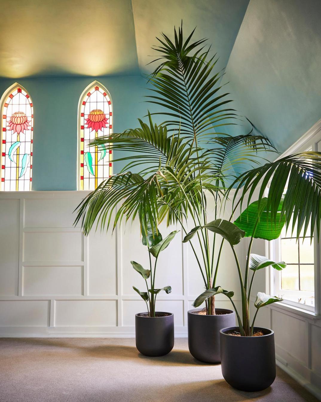 The Nunnery And Spa Leura Exterior foto